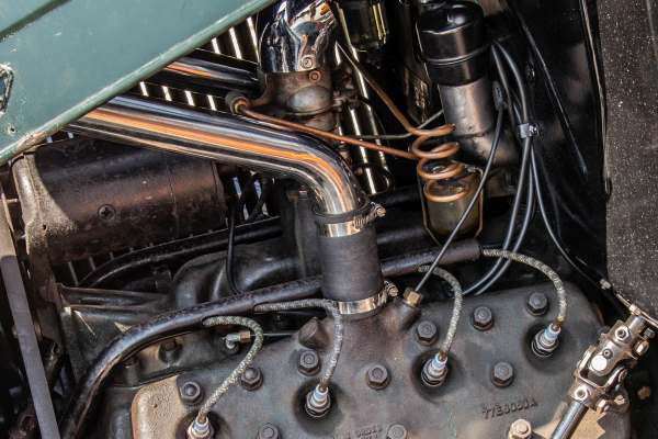 dsc-5552B68915DF-C377-7B93-7AEC-73338F535D47.jpg