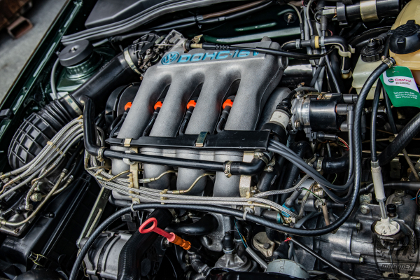 td-2026-treffen-dsc-60402A81327B-95F9-E3B3-EE8B-E22B84A19136.jpg